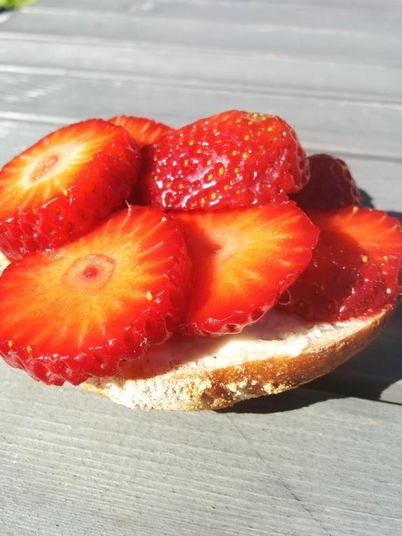 Lekanders Baer & Boende Tyfta 외부 사진